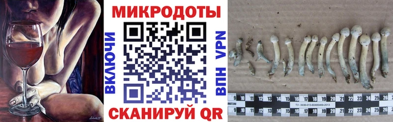 mega ТОР  Выборг  Псилоцибиновые грибы ЛСД  как найти закладки 
